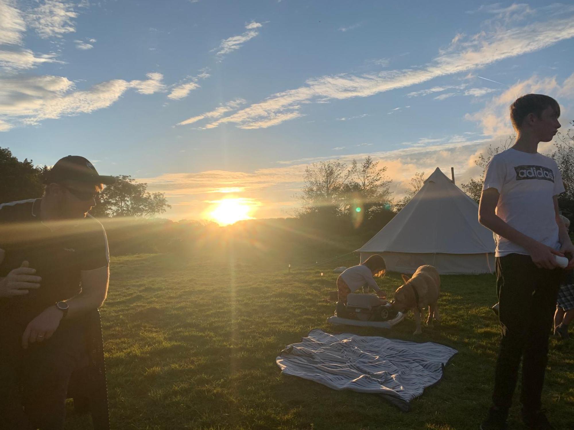 Campsite Yule Tree Helston