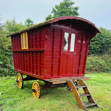 Yule Tree Campsite Helston Exterior foto